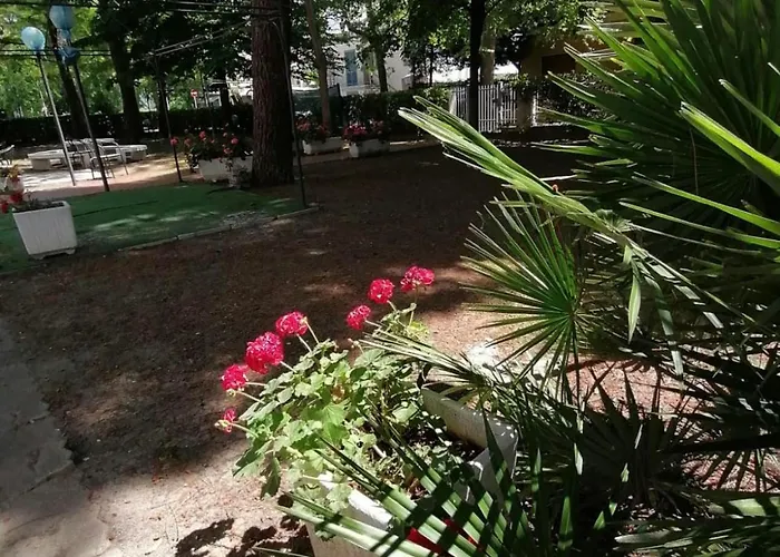 Ludo House